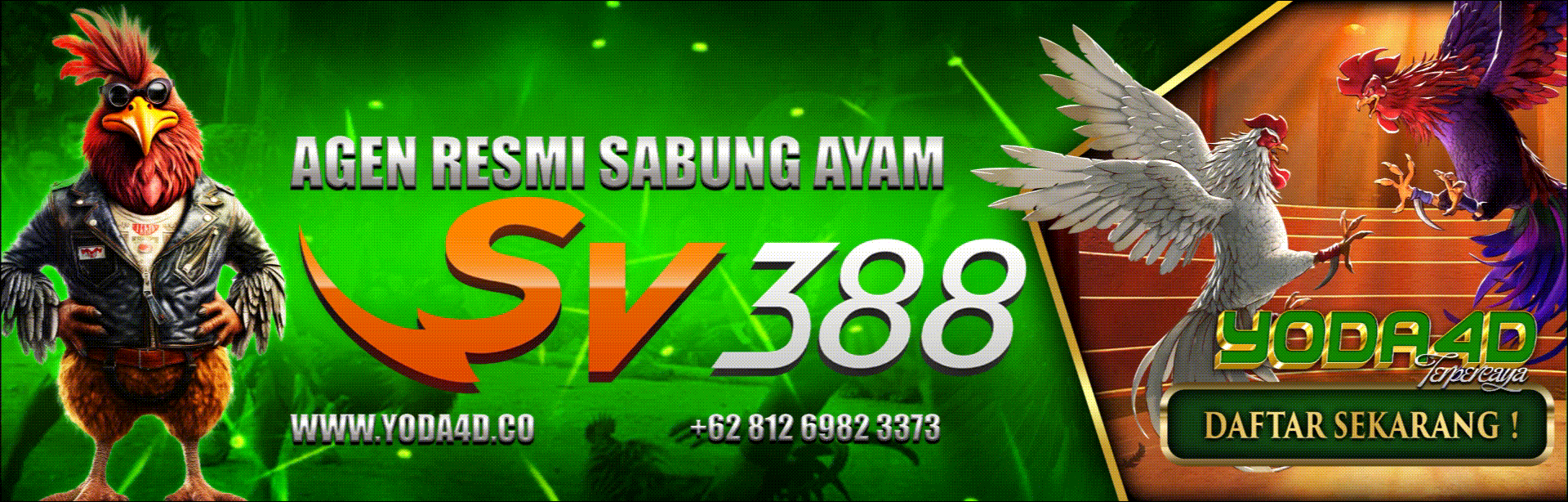 yoda4d