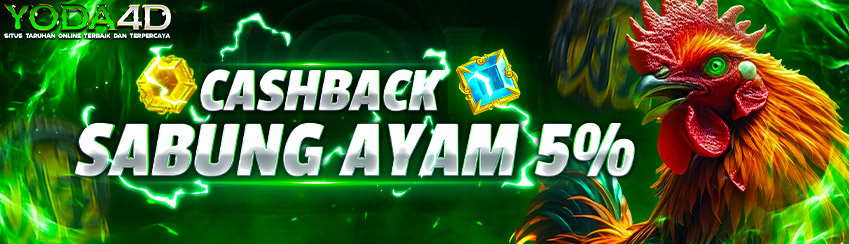Bonus Cashback Sabung Ayam 5%
